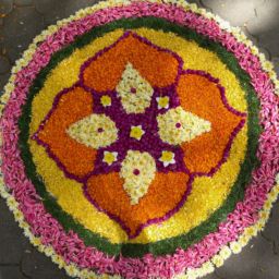 Onam Flower Rangoli